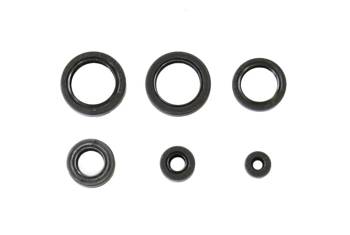 A set of engine seals HONDA TRX 400 FA/FGA FOURTRAX RANCHER 04-07 ATHENA