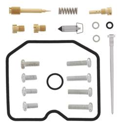 ARCTIC CAT 300 2X4 01-04 300 4X4 01-05 All Balls carburetor repair kit