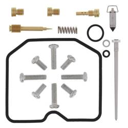 ARCTIC CAT 300 2X4 10-16 300 DVX 09-15 All Balls carburetor repair kit