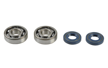 Athena Crankshaft bearings with seals KAWASAKI