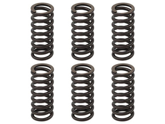 Clutch springs KTM EXC 250 RACING 02-05 / EXC-F 250 03-04 / EXC 400 01-07 / SX/MXC 00-02 / EXC/MXC/SMR/SX 450/525 03-05 / SMR 560 06 / PSYCHIC