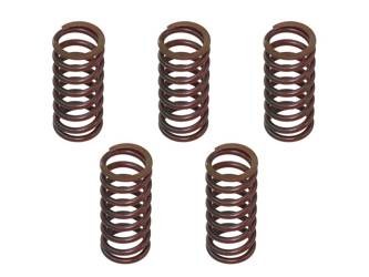 Clutch springs Kawasaki KXF 450 12-21 PSYCHIC