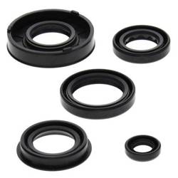 Set of engine seals ARCTIC CAT 50 Y-6 04-05, 90 2-STROKE 02-04, 90 UTILITY 2X4 06, CAN-AM DS 50 02-04, QUEST 50 03 Winderosa