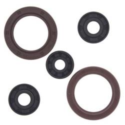 Set of engine seals CAN-AM COMMANDER 1000 DPS '16-'22, MAVERICK 1000 XXC 14-17, MAX 1000 XT '13-'22, OUTLANDER MAX 1000 XTP '13-'22,RENEGADE 1000 XMR '16-'22, Winderosa