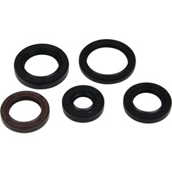 Set of engine seals POLARIS PHOENIX 200 05-21, RZR 170 09-20, SAWTOOTH 200 06-07 Winderosa