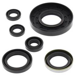 Set of engine seals POLARIS XPEDITION 425 00-02 Winderosa