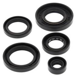 Zestaw uszczelniaczy silnikowych ARCTIC CAT 650 4X4 H1 07-11, 650 H1 LTD 05-07, 650 H1 MUDPRO 10-11, 650 TRV 07-08, 650 TRV LTD 07 Winderosa