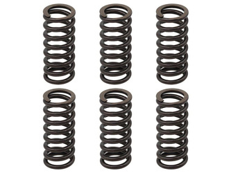 Sprężyny sprzęgła KTM EXC 250 RACING 02-05 / EXC-F 250 03-04 / EXC 400 01-07 / SX/MXC 00-02 / EXC/MXC/SMR/SX 450/525 03-05 / SMR 560 06 / PSYCHIC