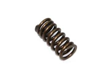 Nachman Sprężyna zaworu ssącego Honda CRF 250R 10-15 (MX-09532IS)