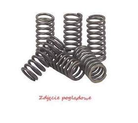 Nachman Spreżyny sprzęgłowe Kawasaki KLX 450R 08-12 / KX 450F 06-11