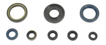 Athena Zestaw uszczelniaczy silnikowych KTM GS 250 84-89