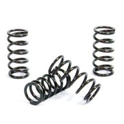 Prox Sprężyny sprzęgłowe Honda CRF 150R 07-21