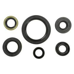 WINDEROSA Komplet Uszczelniaczy Silnikowych KAWASAKI KLX250R 94-96, KLX250S 06-18, KLX250SF 09-10, KLX300(R) 97-07