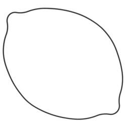 WINDEROSA Uszczelka Pokrywy Sprzęgła SUZUKI RM250 90-95, RMX250 89-99 (ZEWNĘTRZNA)