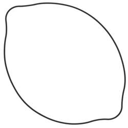 WINDEROSA Uszczelka Pokrywy Sprzęgła SUZUKI RM 125 92-07 (ORING) (ZEWNĘTRZNA)