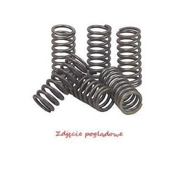 Arcurile de ambreiaj Yamaha XT 250 80-84 / YZ 250 81-84 BRONCO