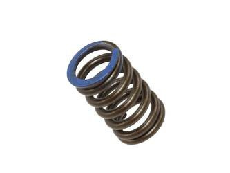 Nachman Intake valve spring HONDA CRF 250R 18-20 CRF 250X 18-20