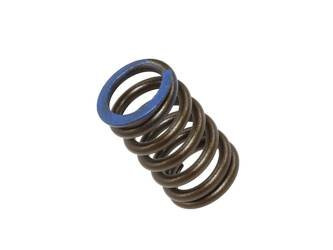 Nachman Sprężyna zaworu ssącego HONDA CRF 250R 18-20 CRF 250X 18-20