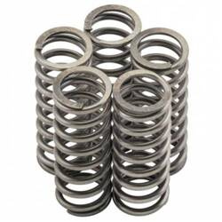 Sprężyny sprzęgłowe Honda CR 250/CRF450 02-03 /TRX450/NTV/TRX 700 / Suzuki RM Newfren