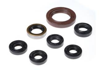 BEARING WORX Komplet uszczelniaczy silnikowych Kawasaki KFX 400 03-06 / Suzuki LT-Z 400 03-09