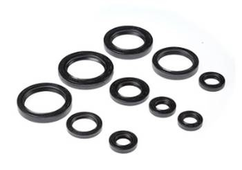 BEARING WORX Komplet uszczelniaczy silnikowych Honda TRX 450R 04-05