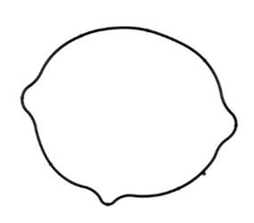 Prox Uszczelka pokrywy sprzęgła Suzuki DR-Z 400 01-23 / Kawasaki KLX 400R 03 /