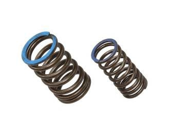 Nachman intake valve spring KAWASAKI KXF 450 (KX 450F) 19-20