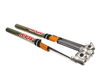 Blackbird Skarpety na lagi