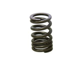 Nachman Sprężyna zaworu ssącego KAWASAKI KXF 250 07-08 (MX-09552IS)