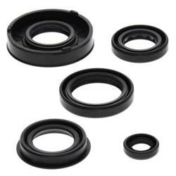 Zestaw uszczelniaczy silnikowych ARCTIC CAT 50 Y-6 04-05, 90 2-STROKE 02-04, 90 UTILITY 2X4 06, CAN-AM DS 50 02-04, QUEST 50 03 Winderosa
