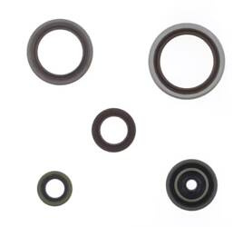 ATHENA Set de garnituri de etanșare pentru motor BETA 250/300 RR '14-'17