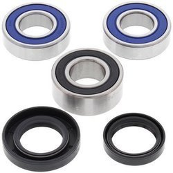 All Balls Husqvarna rear wheel bearing set with seals (99)