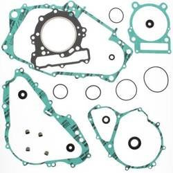 Winderosa Komplet uszczelek + uszzczelniacze silnikowe CAN-AM DS650 00-07