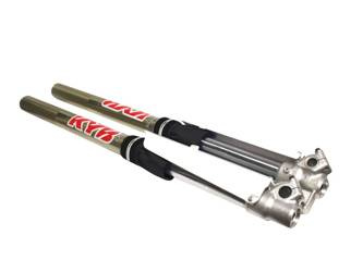 Blackbird Skarpety na lagi