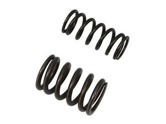 Nachman Intake valve spring Honda CRF 450X '05-'16 (MX-09503IS)