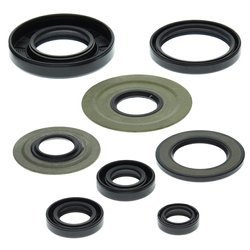 WINDEROSA Komplet Uszczelniaczy Silnikowych YAMAHA YFM350 RAPTOR 04-13, WARRIOR 350 87-04