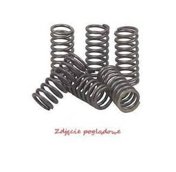 Arcurile de ambreiaj Yamaha XT 250 08-17 / YZ 250 88-99 / WR 250 94-97 BRONCO