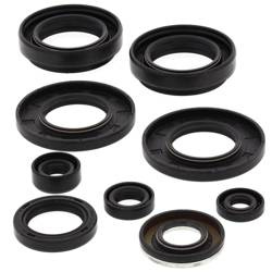 WINDEROSA Komplet Uszczelniaczy Silnikowych ARCTIC CAT 400 4X4 98-00, 454 2X4 97-98, 454 4X4 96-98, 500 4X4 W/MT 00-01 PATRZ UWAGI