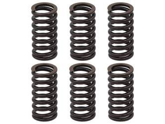 Sprężyny sprzęgła Suzuki LT 230 85-88 / LT 250SK/SL/RF/RM 87-92 / LT 500 87-90 BRONCO