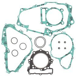 Winderosa Komplet uszczelek CAN-AM DS 650 '00-'07