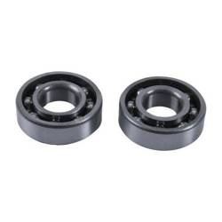 Counter Balancer Repair Kit Polaris ATP 500, HAWKEYE 400 HO 2X4, SCRAMBLER 500, SPORTSMAN 400/450/500 4X4, RANGER 400/500, WORKER 500 Hot Rods