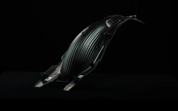 Stark Future Rear fender
