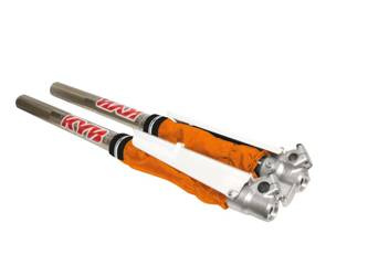 Blackbird Skarpety na lagi