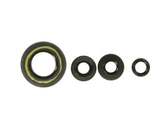 ATHENA Komplet uszczelniaczy silnikowych HONDA XL 650V TRANSALP 00-06