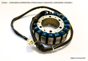 Electrosport Uzwojenie alternatora / stator HARLEY-DAVIDSON