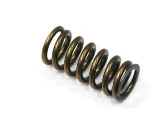 Nachman Sprężyna zaworu ssącego Yamaha YZF 250 '01-'13 / WRF 250 '01-'13 / Gas Gas EC 250F (10-15) / 300F (13-15) (MX-09519IS)