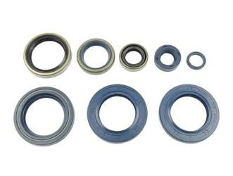 Komplet uszczelniaczy silnikowych KTM LC4 625/640/660 03-07 Athena